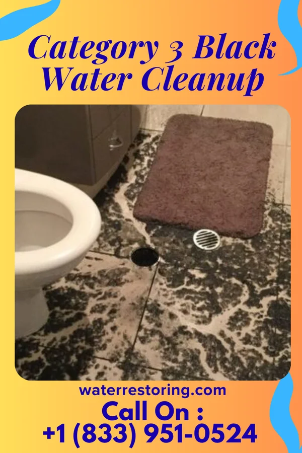 Category 3 Black Water Cleanup in Strasburg, OH