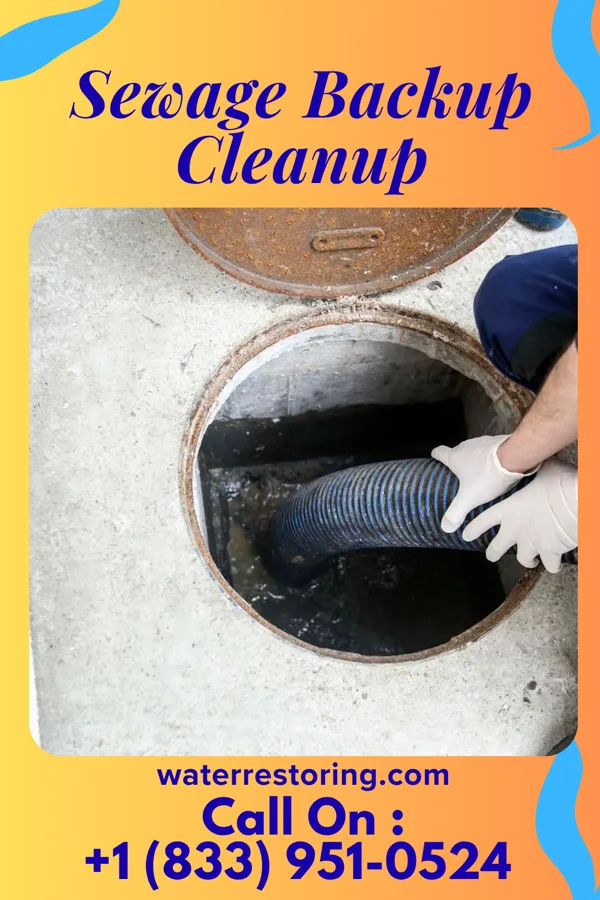 Sewage Backup Cleanup in Strasburg, OH